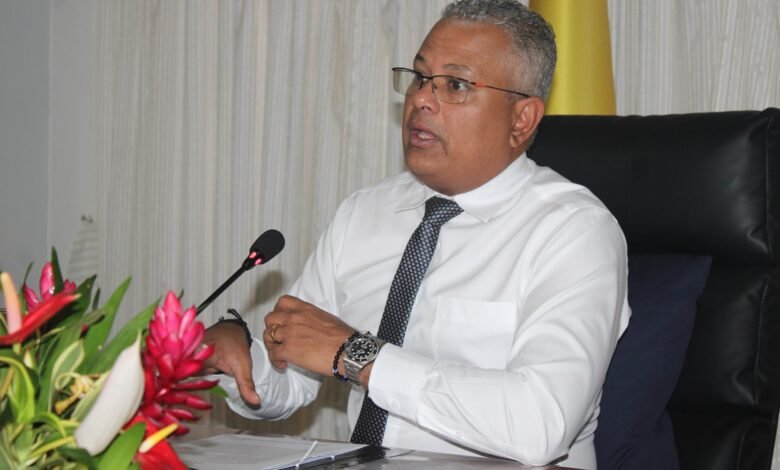 Vice President Pillay