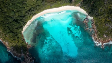 anse-cocos-coast-la-digue