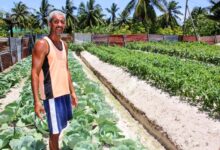 farmer