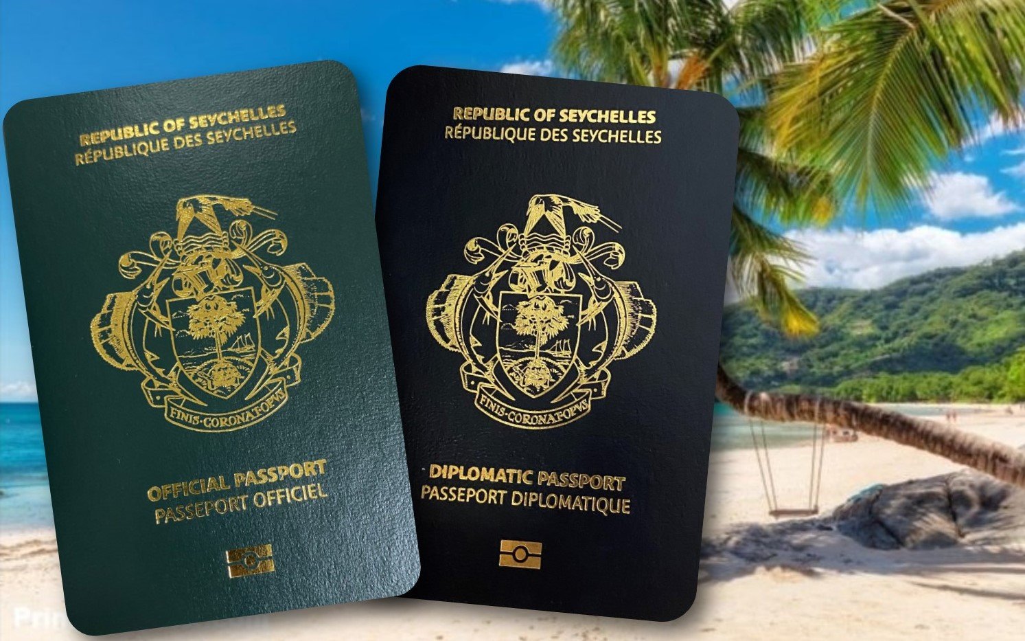 passport-Diplomatic-and-Official